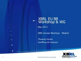 XBRL EU BR Workshop &amp; WG
