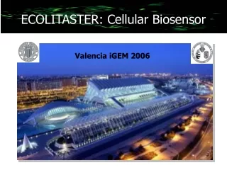 ECOLITASTER: Cellular Biosensor