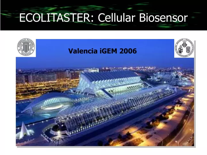 ecolitaster cellular biosensor