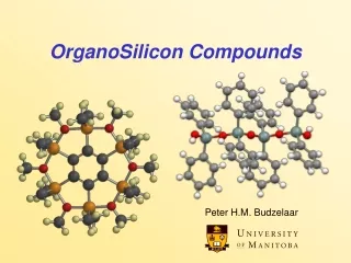 OrganoSilicon Compounds