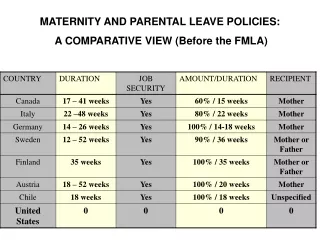 MATERNITY AND PARENTAL LEAVE POLICIES:   A COMPARATIVE VIEW (Before the FMLA)