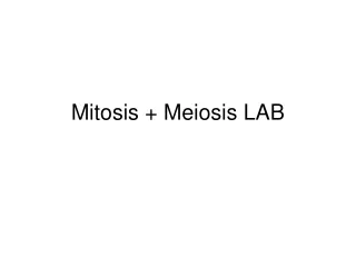 Mitosis + Meiosis LAB