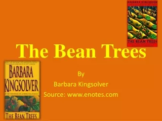 The Bean Trees