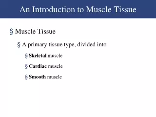 An Introduction to Muscle Tissue