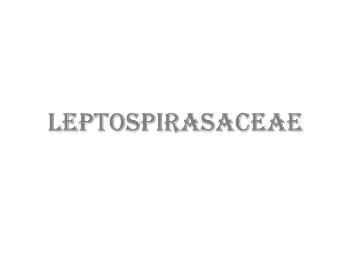 leptospirasaceae