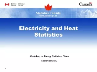 Workshop on Energy Statistics, China