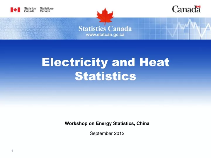 electricity and heat statistics