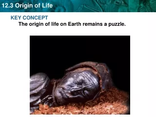 KEY CONCEPT  The origin of life on Earth remains a puzzle.