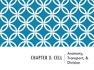 Chapter 3: Cell