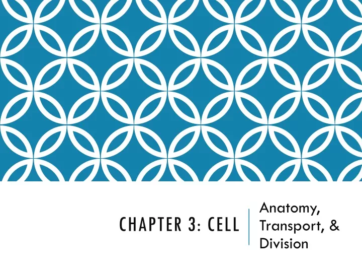 chapter 3 cell
