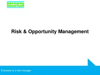Risk &amp; Opportunity Management