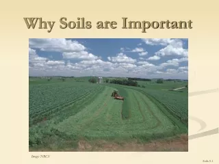 Why Soils are Important