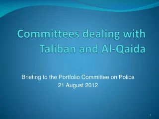 Committees  dealing with Taliban and  Al-Qaida