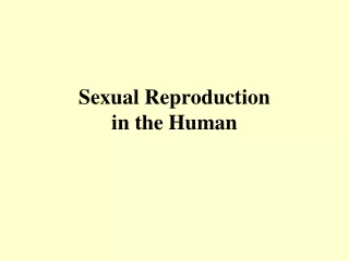 Sexual Reproduction  in the Human