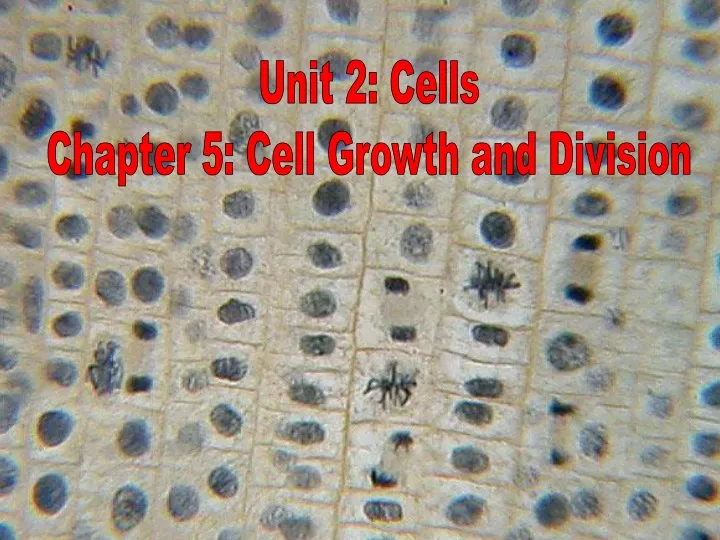 unit 2 cells chapter 5 cell growth and division
