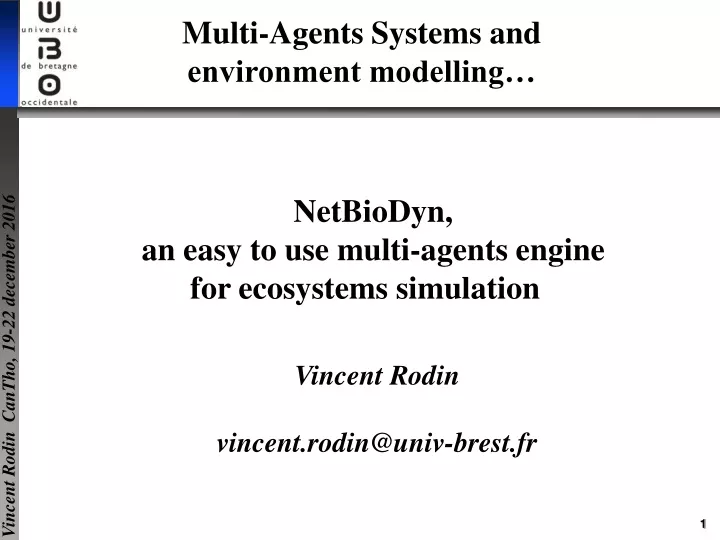 multi agents systems and environment modelling