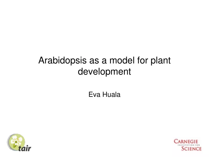 arabidopsis as a model for plant development