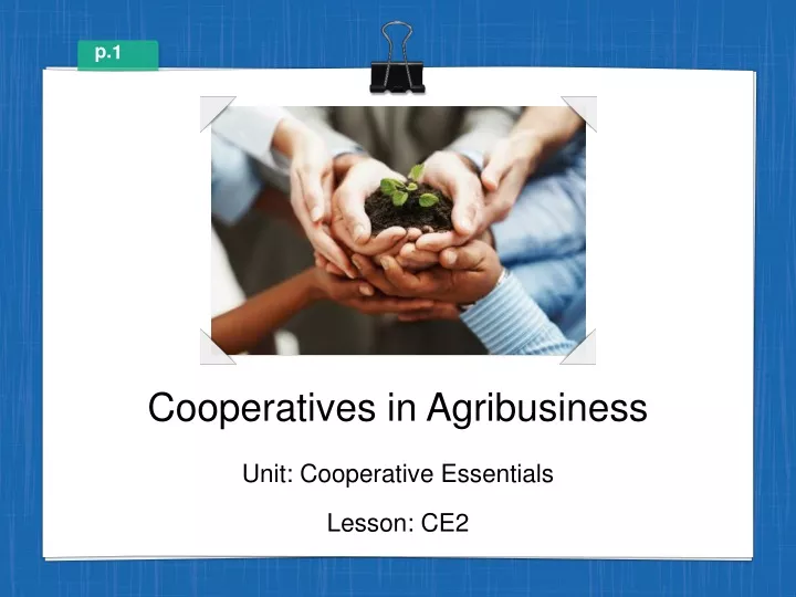 cooperatives in agribusiness