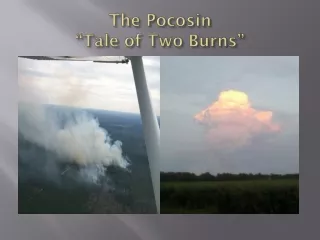 The  Pocosin “Tale of Two Burns”