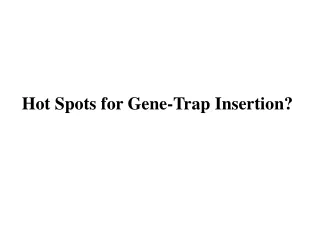 Hot Spots for Gene-Trap Insertion?