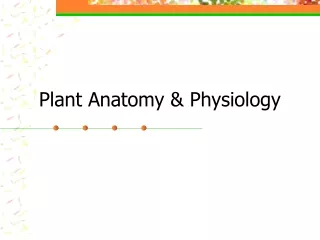 Plant Anatomy &amp; Physiology