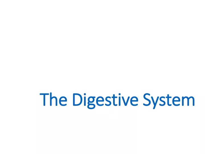 the digestive system