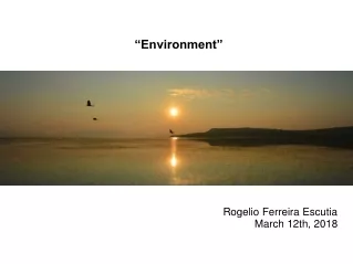 “Environment” Rogelio Ferreira Escutia March 12th, 2018