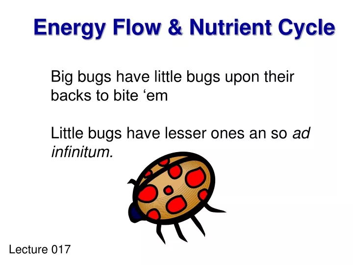 energy flow nutrient cycle
