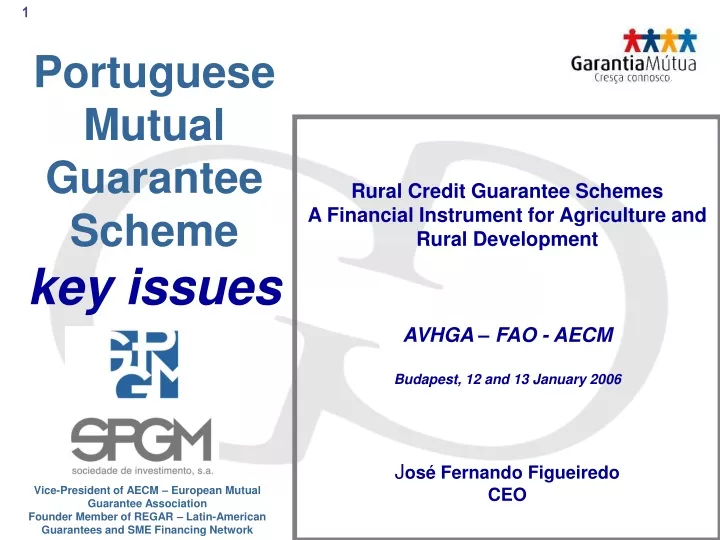 portuguese mutual guarantee scheme key issues