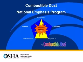 Combustible Dust  National Emphasis Program