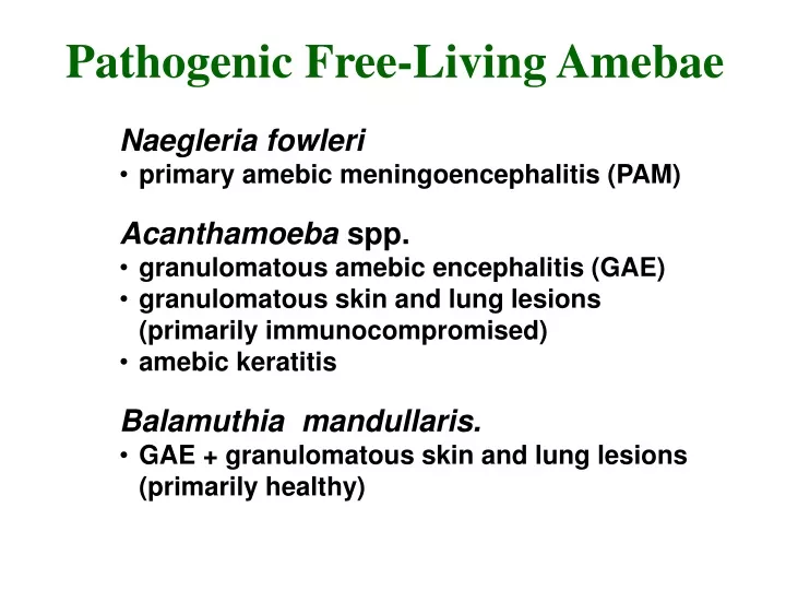 pathogenic free living amebae