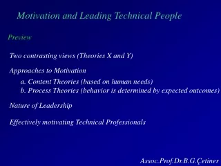 Motivation and Leading Technical People