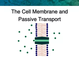 The Cell Membrane and  Passive Transport