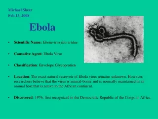 Michael Sheer Feb.13, 2008 		  Ebola               Scientific Name:  Ebolavirus filoviridae