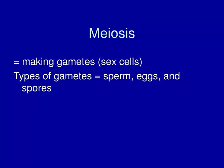 meiosis