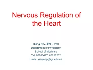 Nervous Regulation of the Heart
