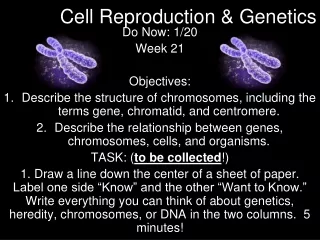 Cell Reproduction &amp; Genetics