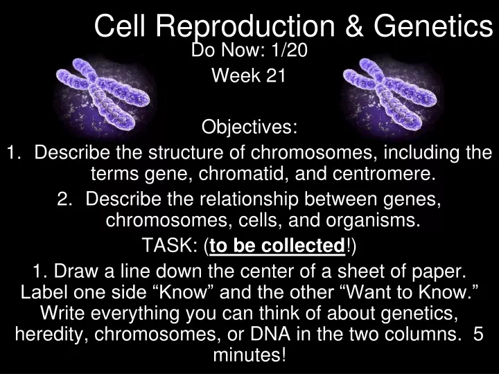 cell reproduction genetics