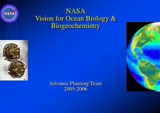 NASA Vision for Ocean Biology &amp; Biogeochemistry Advance Planning Team 2005-2006