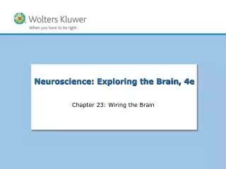 Chapter 23: Wiring the Brain