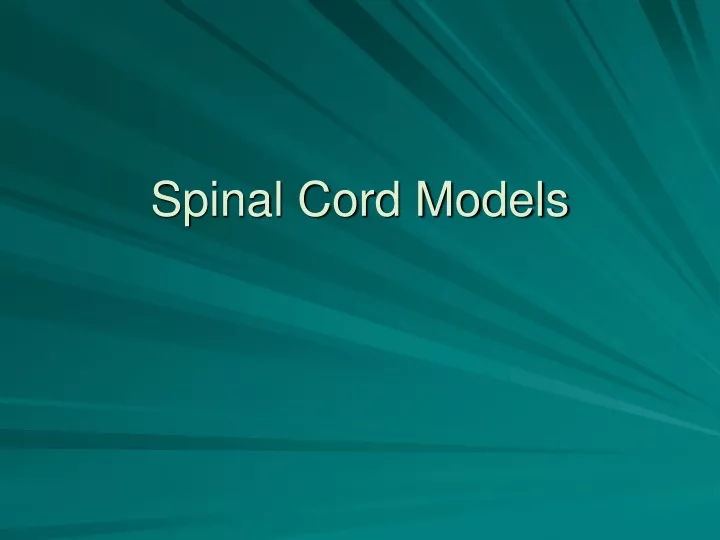 spinal cord models
