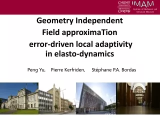 Geometry Independent  Field  approximaTion  error-driven local  adaptivity in  elasto -dynamics