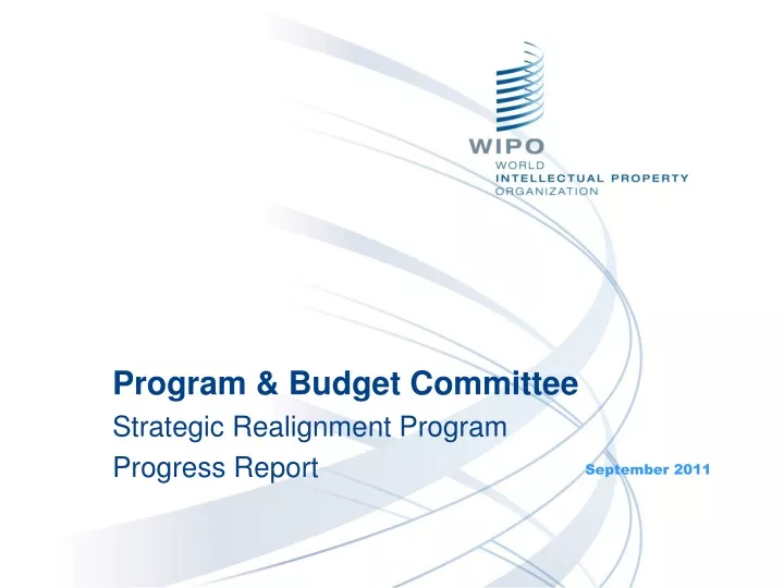program budget committee strategic realignment