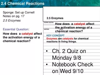 Sponge: Set up Cornell Notes on pg. 17 2.5 Enzymes Essential Question :