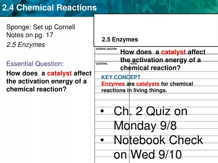 sponge set up cornell notes on pg 17 2 5 enzymes