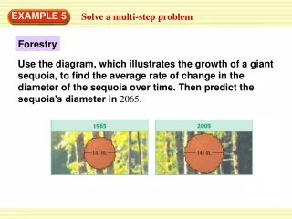 Solve a multi-step problem