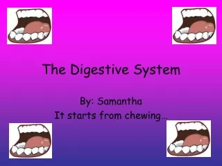 The Digestive System