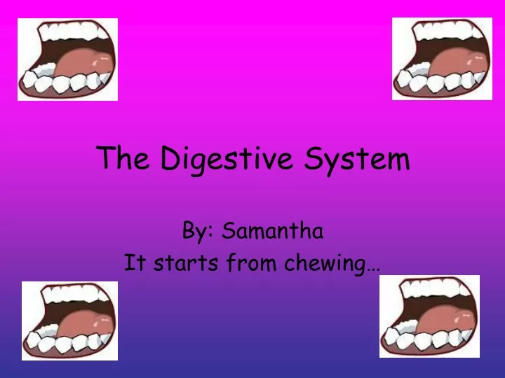 the digestive system