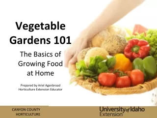 Vegetable Gardens 101
