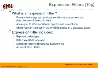 Expression Filters (10 g )